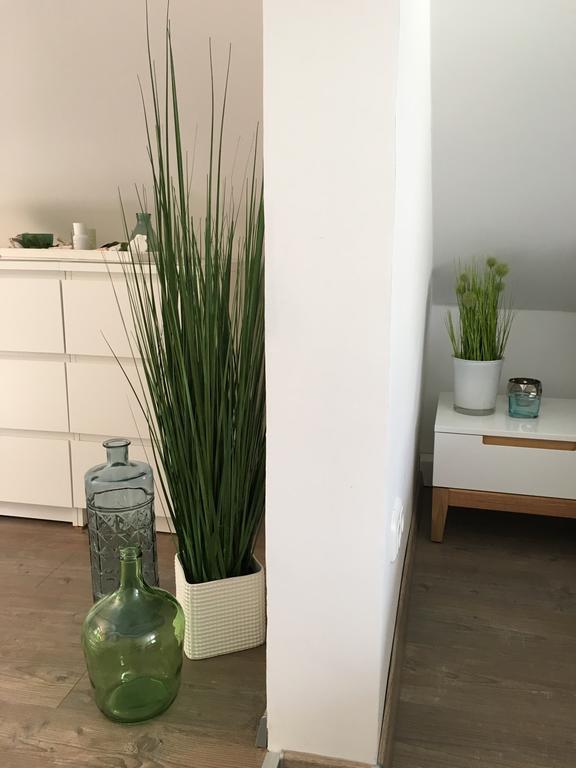 Ferienhaus Zur Mainpforte Mainz Eksteriør billede