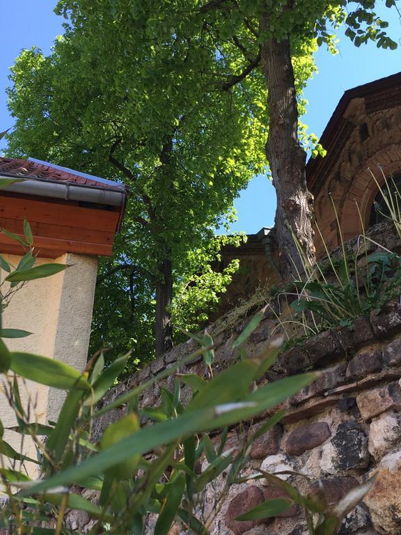 Ferienhaus Zur Mainpforte Mainz Eksteriør billede