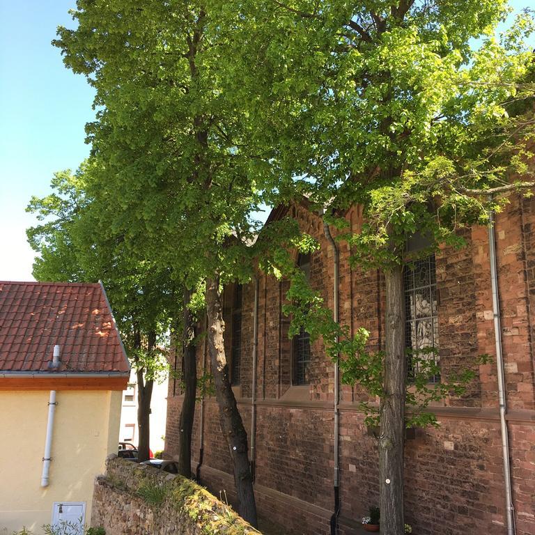 Ferienhaus Zur Mainpforte Mainz Eksteriør billede